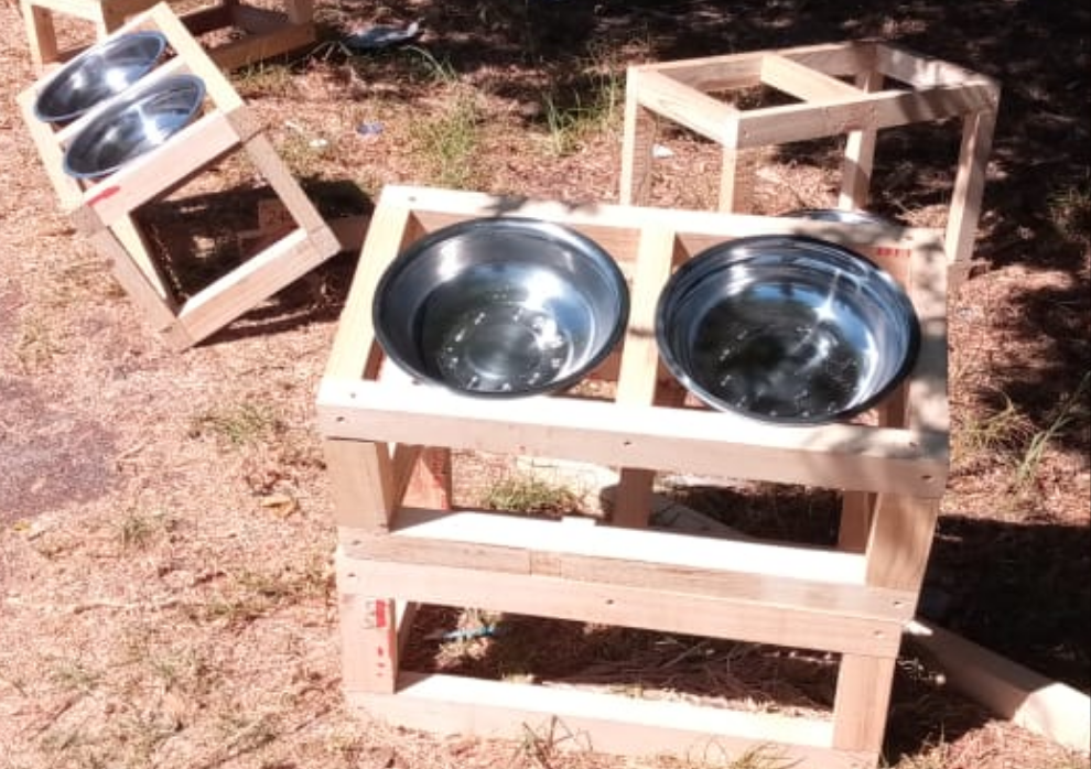 Raised Pet Feeders (L)