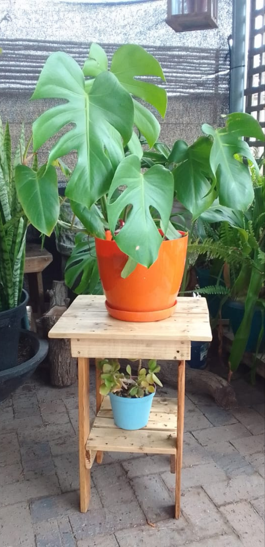 Plant/Side Table