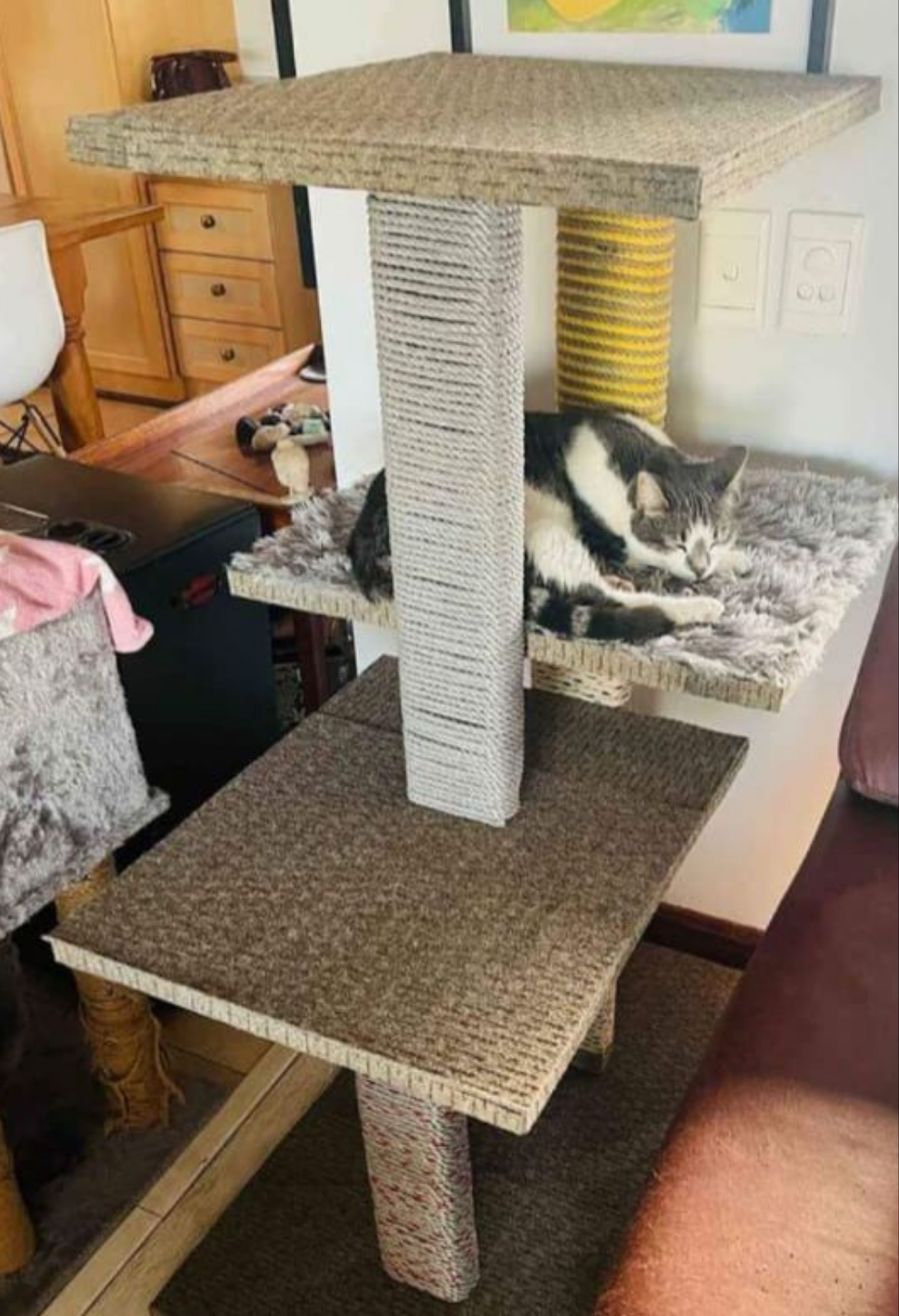 Cat Scratching Post