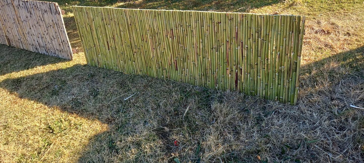 Bamboo Fencing