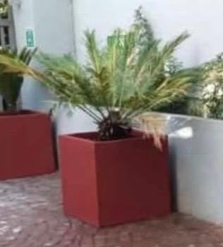 Medium Square Concrete Planter Box – Terracotta Red