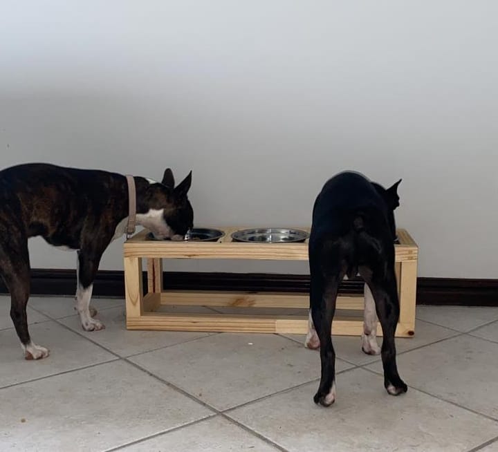 Raised Pet Feeders (XL)